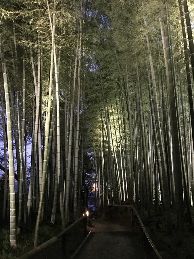 Sakuraya-Inn Osaka Bagian luar foto
